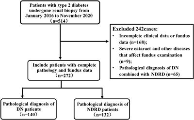 The relationship between diabetic retinopathy and diabetic nephropathy in type 2 diabetes